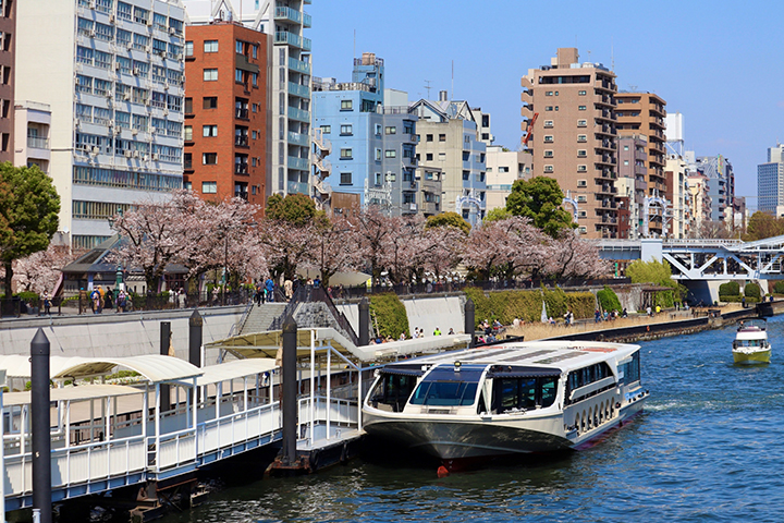 Sumida River Cruise