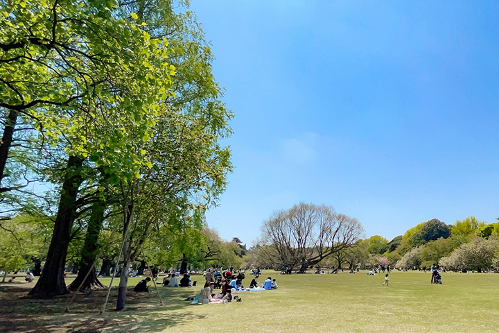 Shinjyuku-Gyoen Park
