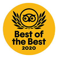 Trip advisor「best of the best 2020」