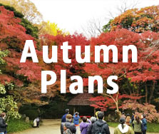 Autumn Plan