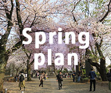 Spring Plan
