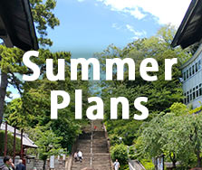 Summer Plan