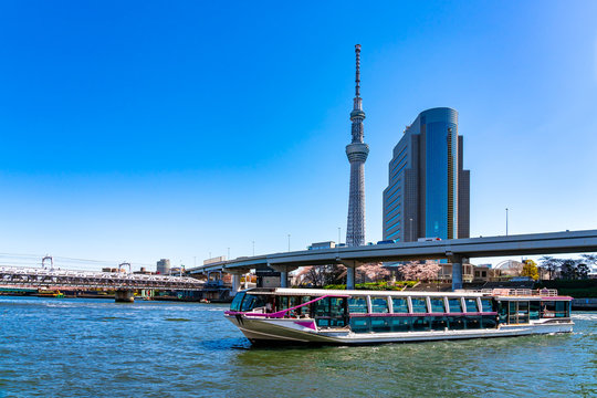 Sumida River Cruise in Tokyo, scenic boat ride offering views of Tokyo Skytree and city landmarks