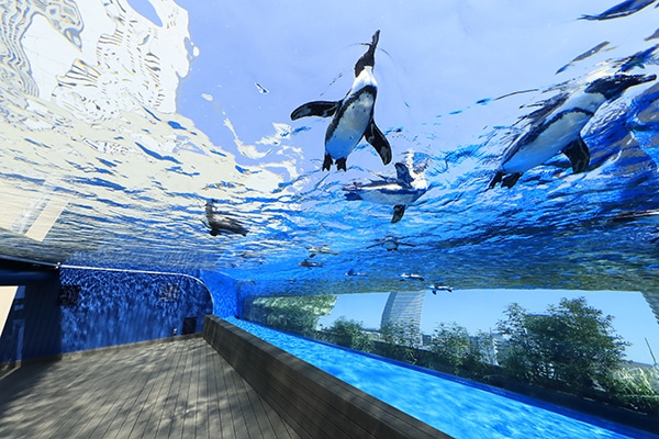 Sunshine Aquarium in Ikebukuro, Tokyo, an urban aquarium featuring marine life exhibits and outdoor sky pool
